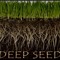 Deep Seed