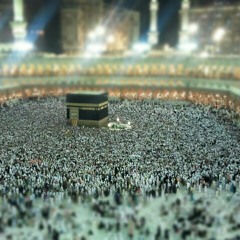 شربكات الكامري