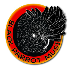 Black Parrot Music-Shorts