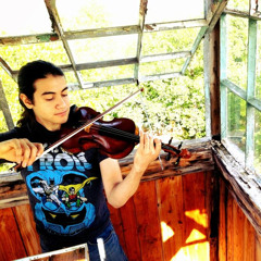 Eleanor Rigby - The Beatles Violin Cover