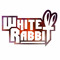 / DJ White Rabbit /