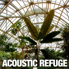 acoustic-refuge 2
