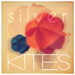 Silver Kites