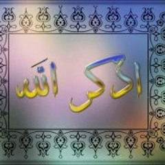 Hossam Elden Mostafa