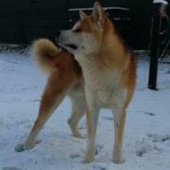 Luca Kouki-go Garanzini