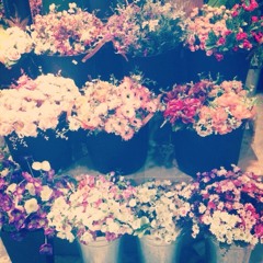 Sweetness Moonlight~!