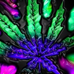 Michał "WONSZ" Ciesielski