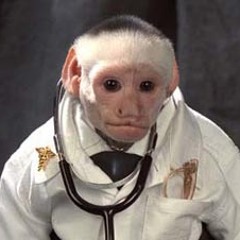 Dr Monkey