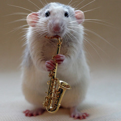 Fat Rat