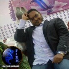 Ismail Amin El-Rayes