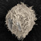 Apoptosis.