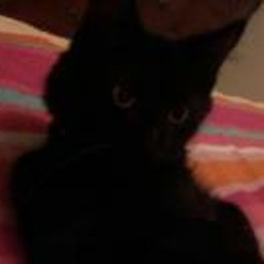 Frances Yvonne Archibald