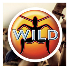 Stream DOsounds  Listen to The Meaning of Wild playlist online for free on  SoundCloud