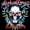 dj hoffman