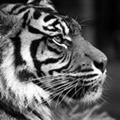 Piotr Tygrys Jakubczyk