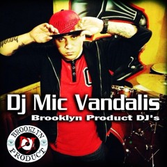 DJMICVANDALIS