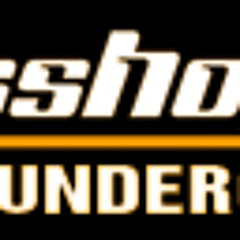 TheGrasshopperUnderground