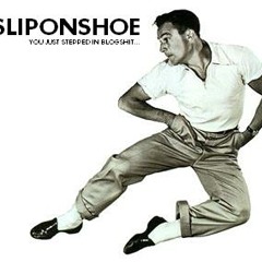 SliponShoe Blog