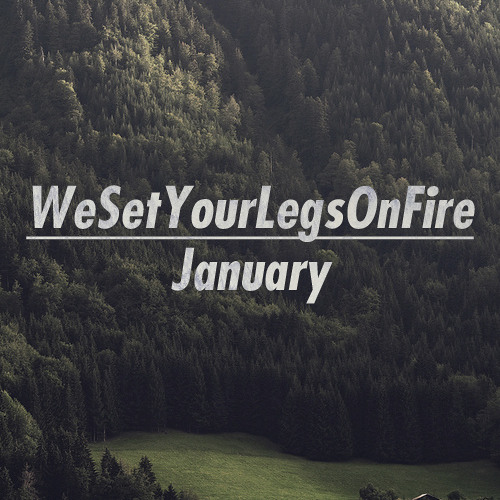 WeSetYourLegsOnFire’s avatar