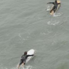 Thomas Jerald Engberg