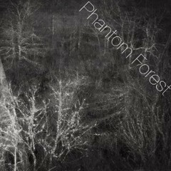 Phantom Forest Library