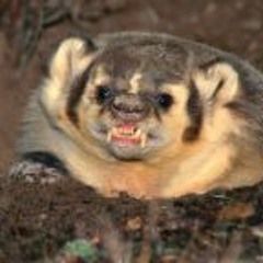 Brakeing Down Security Podcast