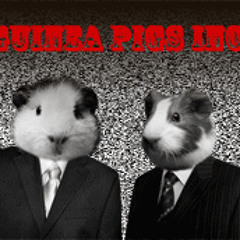 Guinea Pigs Inc.