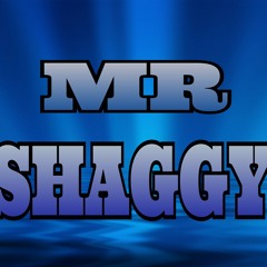mr shaggy13