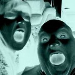 Leigh Dogfish Dolphin