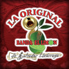 La Original Banda El Limón