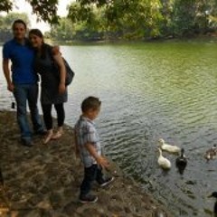 Gilberto Gomez Solis