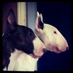 Gerjan van den Brandt