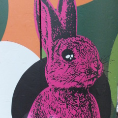 Rabbit Radio