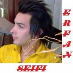 Erfan Seifi 1
