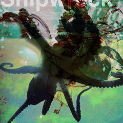 Shipwreck - Lucid Optics