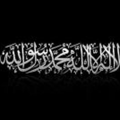 Hesham Mohamed Shaheen