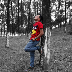 Ern3st0