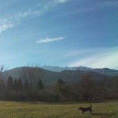 Laura Robin Parmeggiani