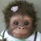 Kevin Doc