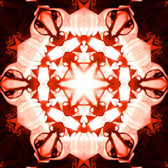 Meek I  //a.k.a  LOW CULT