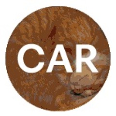 CAR_rca