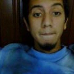 Jose Leonardo Anselmi