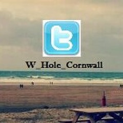 Watering Hole Perranporth