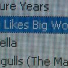 Olisaemeka R. Okakpu