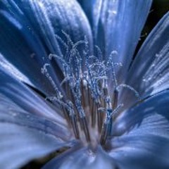 Patrick von Hohenberg