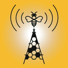 honeybombfreq