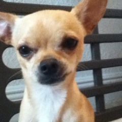 Sebastianvargas@me.com