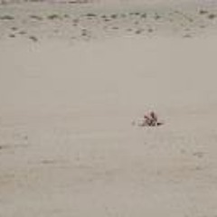 Christopher Hainsworth