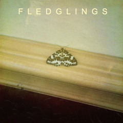 Fledglings