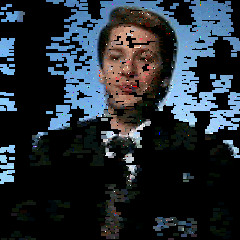 Waxwing Y | vʌlǝɹʌ